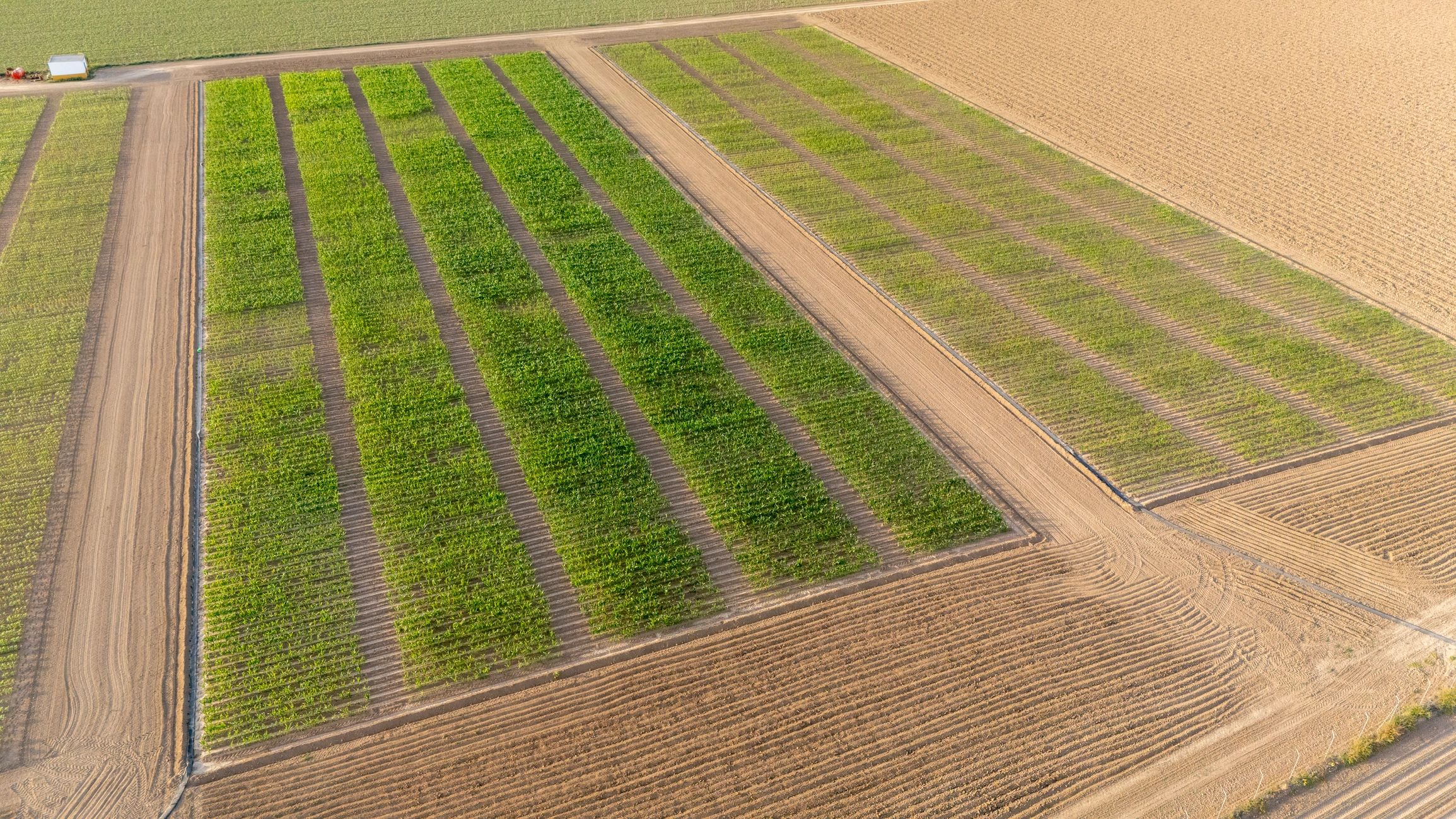 Aerial view of land plots
